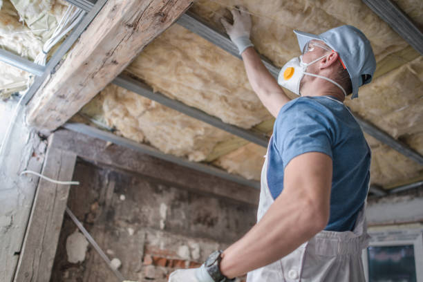 Best Types of Insulation in Paw Paw Lake, MI