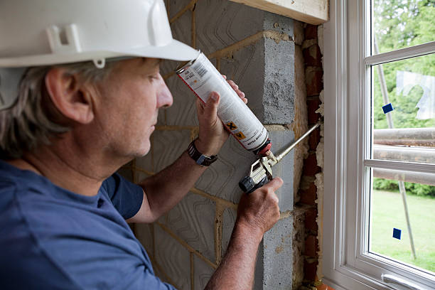 Best Insulation Maintenance and Repair in Paw Paw Lake, MI